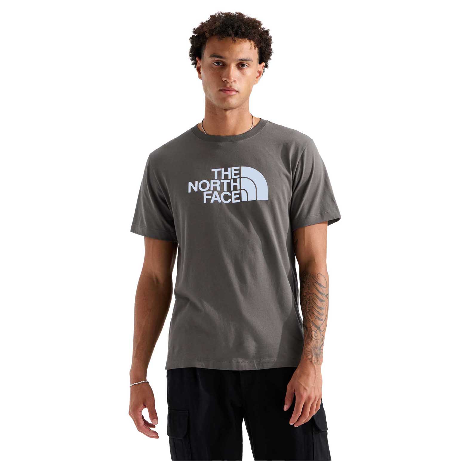 The North Face Men's Evolution Half Dome Regular Ss Tee